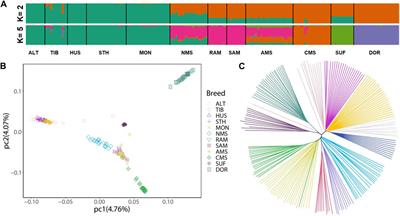 Whole genome sequencing identified genomic diversity and candidated genes associated with economic traits in Northeasern Merino in China
